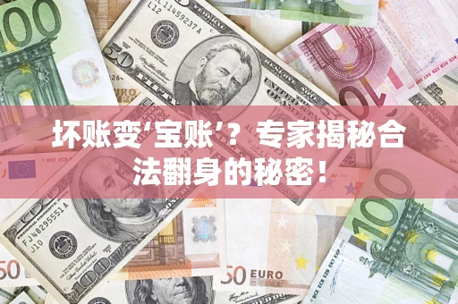 北京坏账变‘宝账’？专家揭秘合法翻身的秘密！