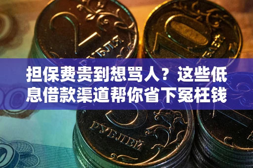 北京担保费贵到想骂人？这些低息借款渠道帮你省下冤枉钱