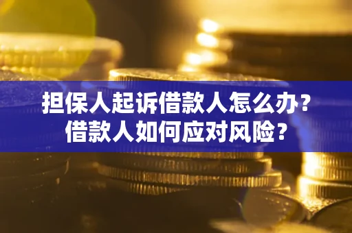 北京担保人起诉借款人怎么办？借款人如何应对风险？
