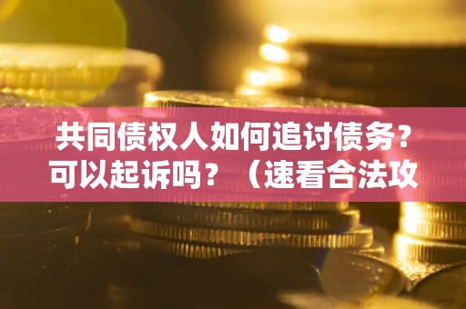 北京共同债权人如何追讨债务？可以起诉吗？（速看合法攻略）