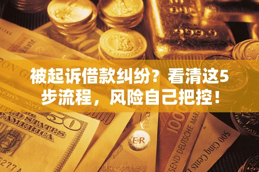 北京被起诉借款纠纷？看清这5步流程，风险自己把控！