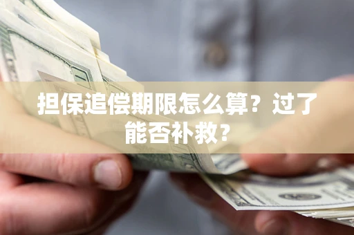 北京担保追偿期限怎么算？过了能否补救？