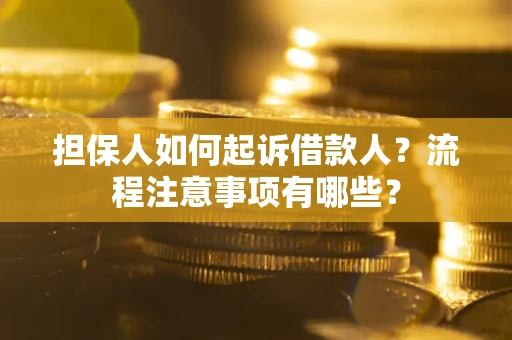 北京担保人如何起诉借款人？流程注意事项有哪些？